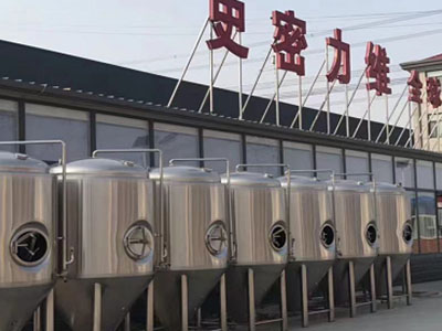固原精酿啤酒设备厂—如何判断精酿啤酒设备的密封件需要更换？